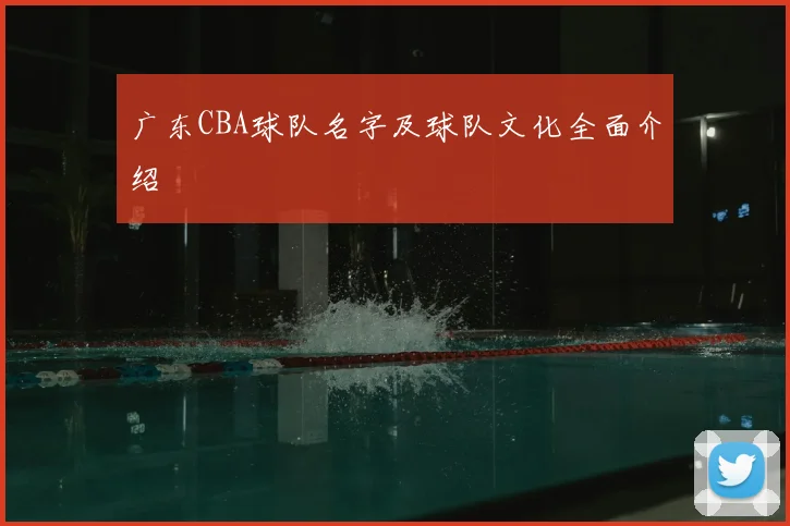 广东CBA球队名字及球队文化全面介绍